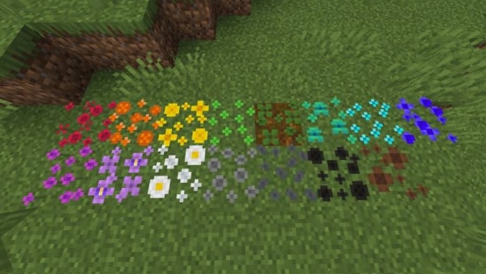 Colorful flowers and blocks on grass.