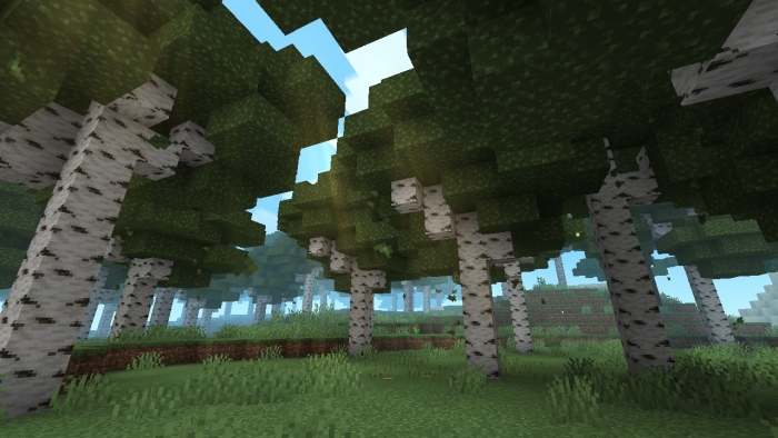 Lush birch forest with enhanced details.