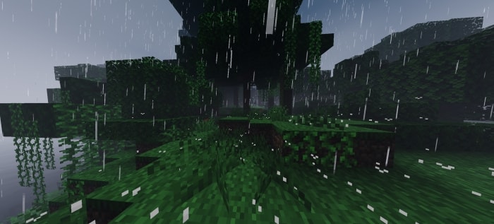 Dense forest in heavy rain, eerie atmosphere