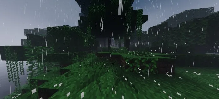 Dense forest in heavy rain, eerie atmosphere