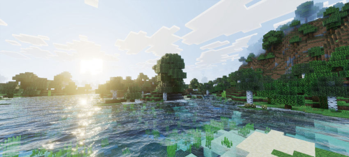 Sunlit forest and river landscape.