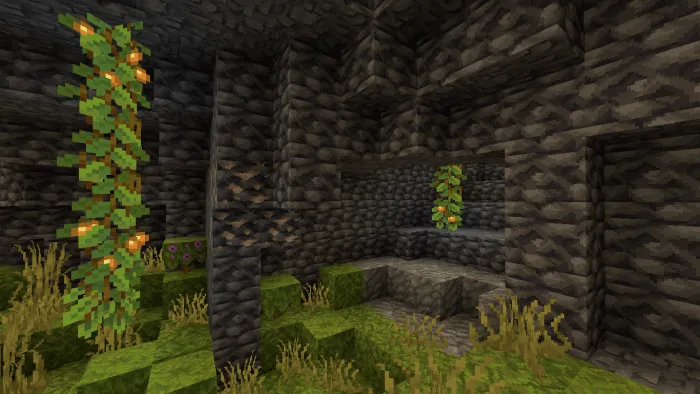 Lush cave with detailed stone textures