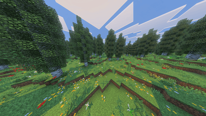 Lush forest biome with diverse flora.