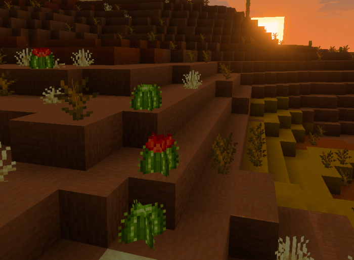Blocky desert landscape with cacti.