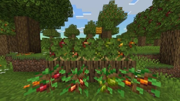Lush forest with vibrant plants and trees.