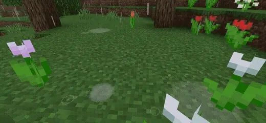 Raindrops and puddles on grassy terrain