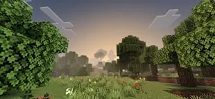 Sunset over a vibrant, shaded forest scene