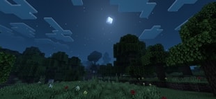 Moonlit forest with enhanced lighting effects