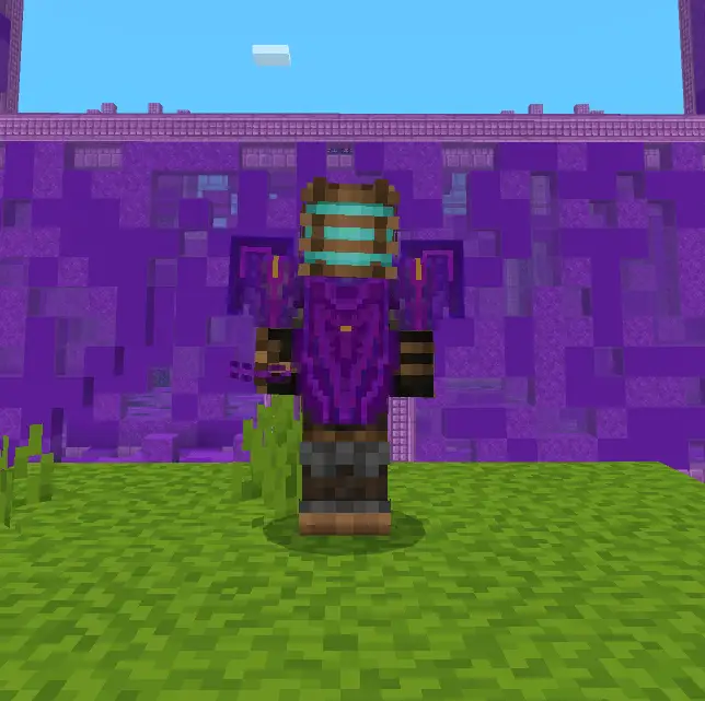 Player in purple armor before a glowing wall