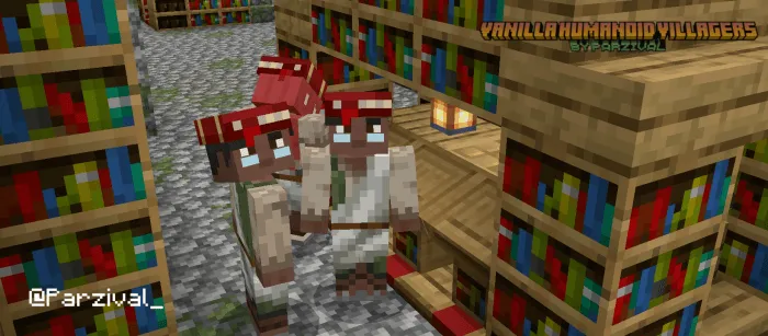 Humanoid villagers near bookshelves