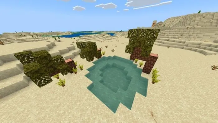 Small oasis with new trees in sandy biome