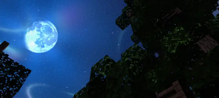 Bright full moon and stars above treetops