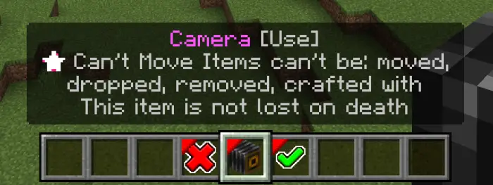 Hotbar showing camera tool and item info