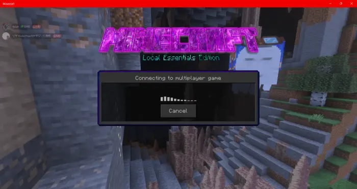 Connecting to Local Essentials multiplayer server