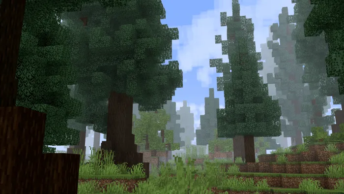 Dense fog among tall pine trees in-game