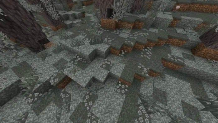ALT Dense forest floor with new plants and grass