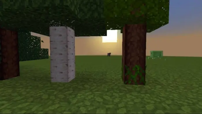 Two textured trees at sunset on grassy field