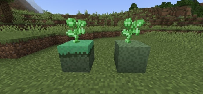Two slime saplings on green blocks outdoors