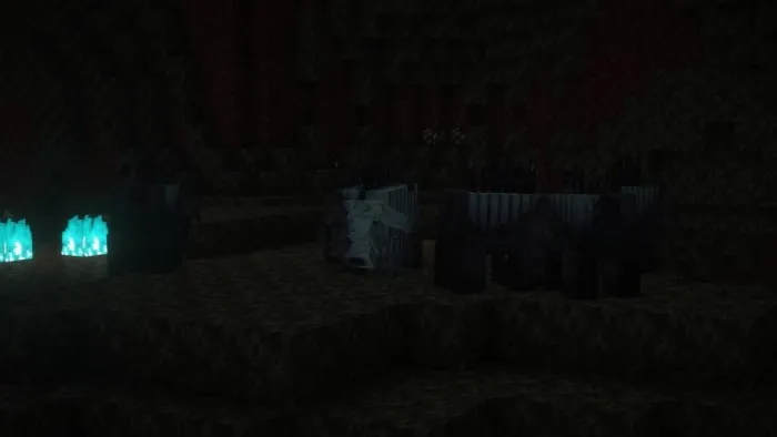 Dark cave with glowing blue flames and hoglins