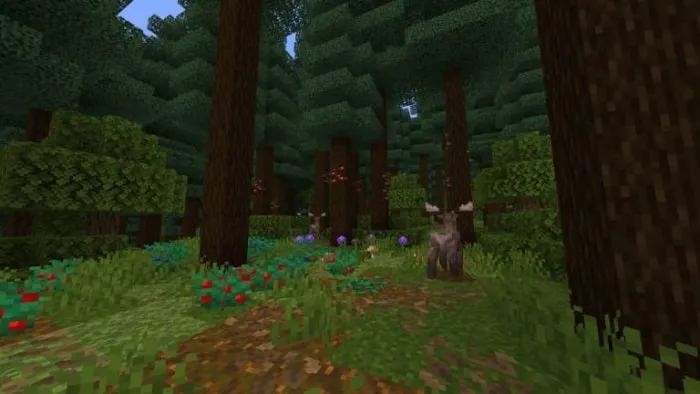 Dense forest biome with new plants and a moose
