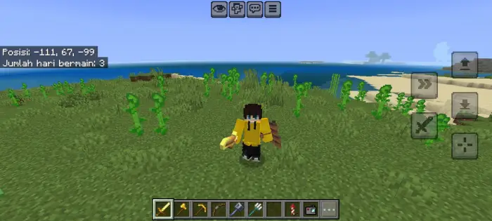 Player with 3D items on grassy terrain