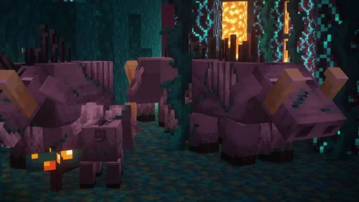 Purple hoglins with varied textures in forest