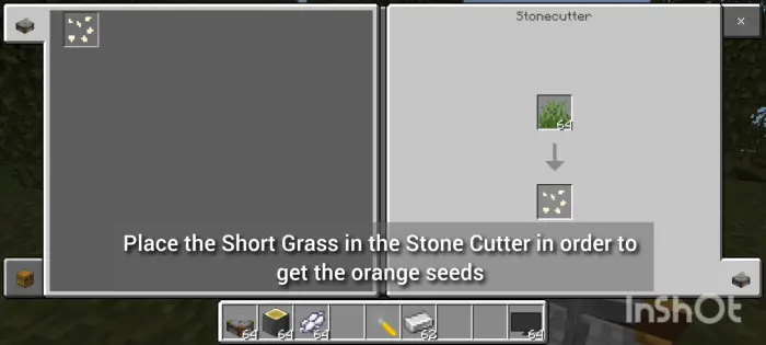 Short grass in stonecutter yields seeds