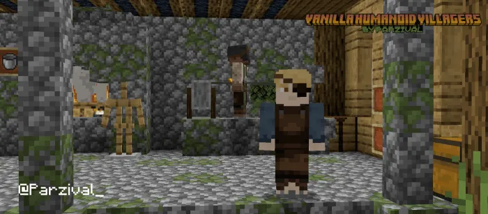 Humanoid villagers in a stone house