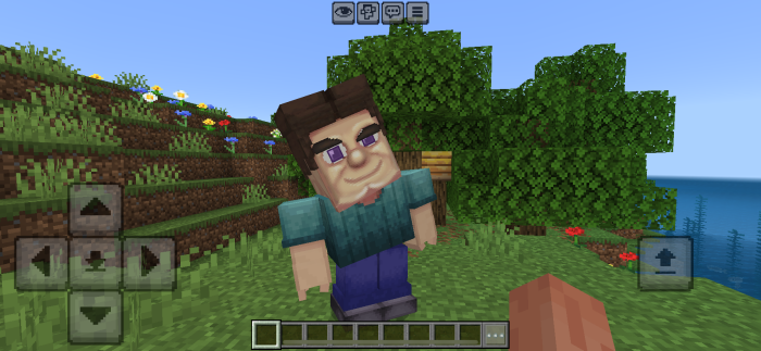 Grotesque Steve with distorted features