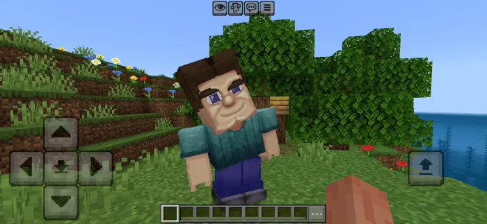 Grotesque Steve with distorted features