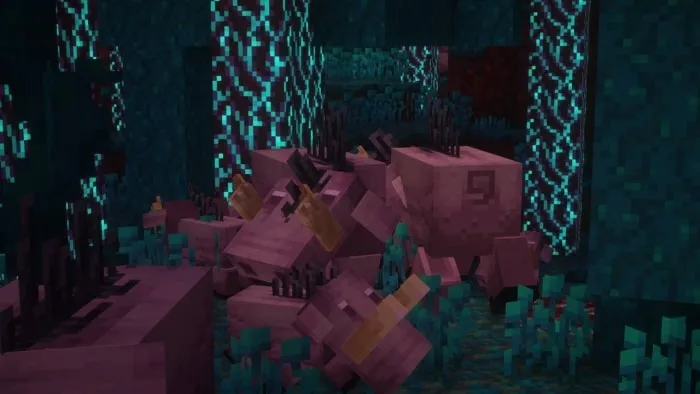 Multiple hoglins with varied pink textures