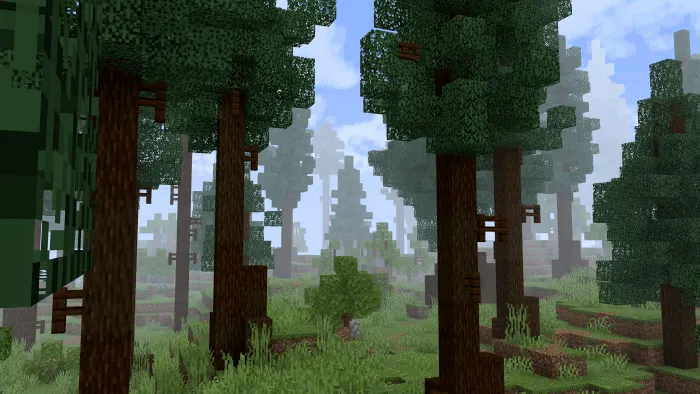 Foggy forest scene with enhanced atmosphere