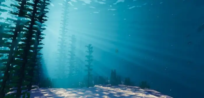 Sunbeams shine through underwater kelp forest