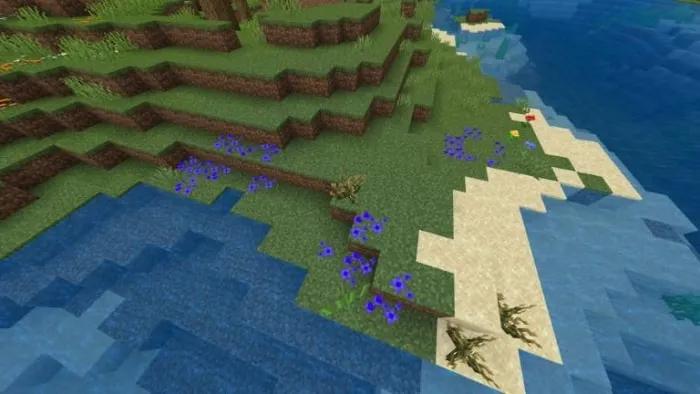 Coastal biome with new flowers and plants