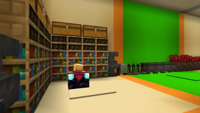 Enchanting room with bookshelves and chests