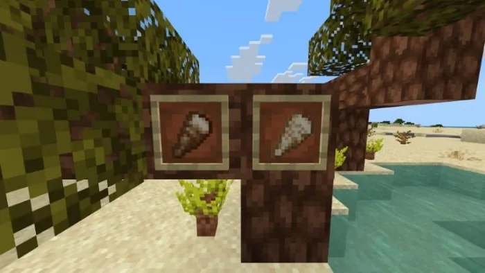 Two framed seashell items by water.