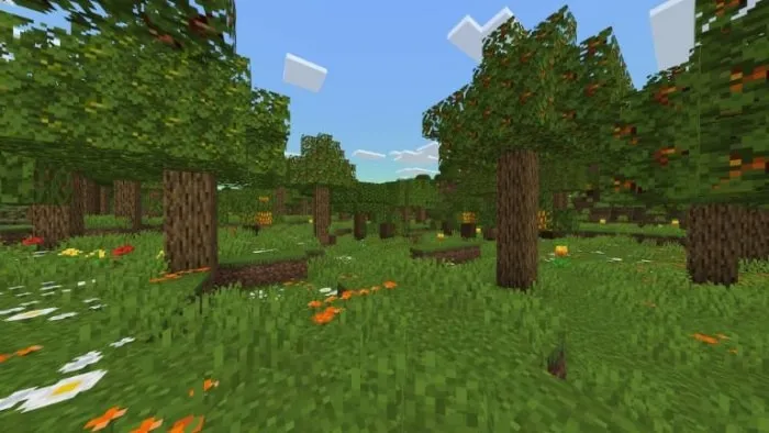 Lush forest biome with vibrant flowers and trees