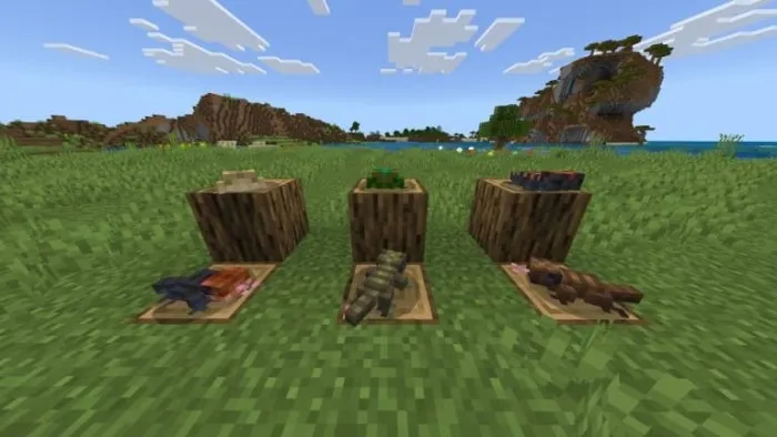 New animal mobs displayed on wooden blocks