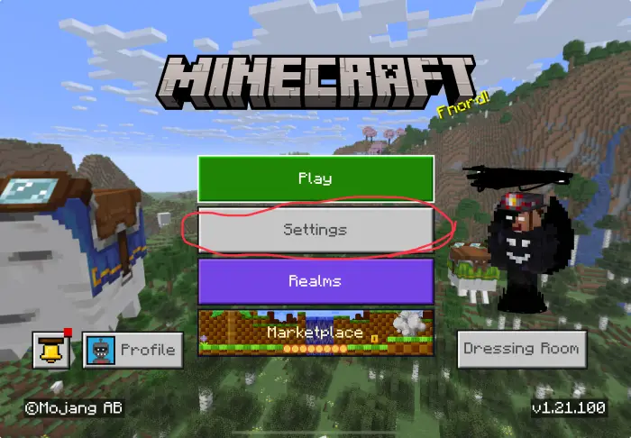 Settings menu highlighted on game start screen
