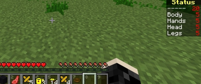 Player HUD with detailed limb health status