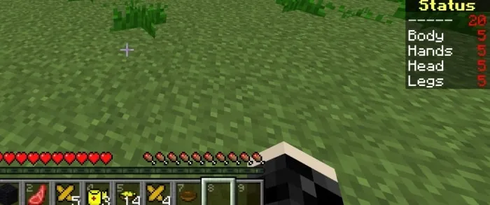 Player HUD with detailed limb health status