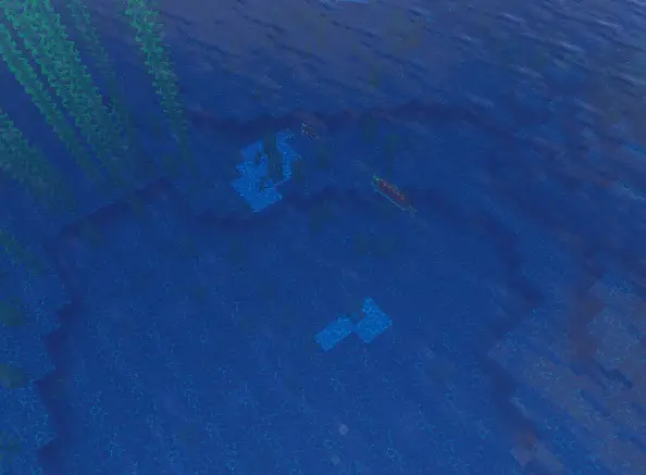 Fish swimming underwater near sea plants