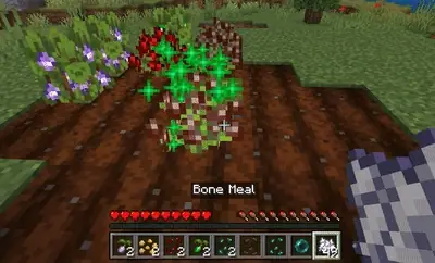 Ore crops growing with bone meal applied