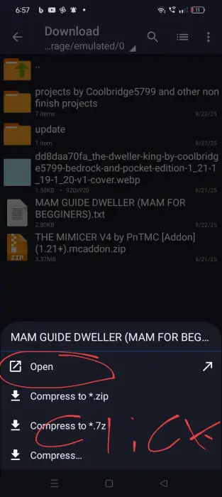 ALT text File menu with Open option circled.