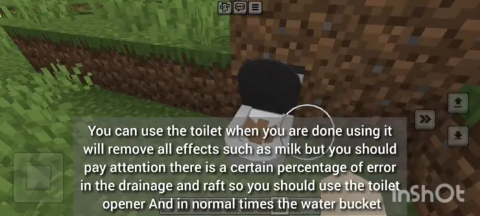 Player interacts with a toilet block in-game.