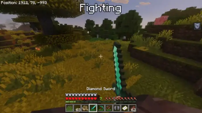 First-person view holding a diamond sword