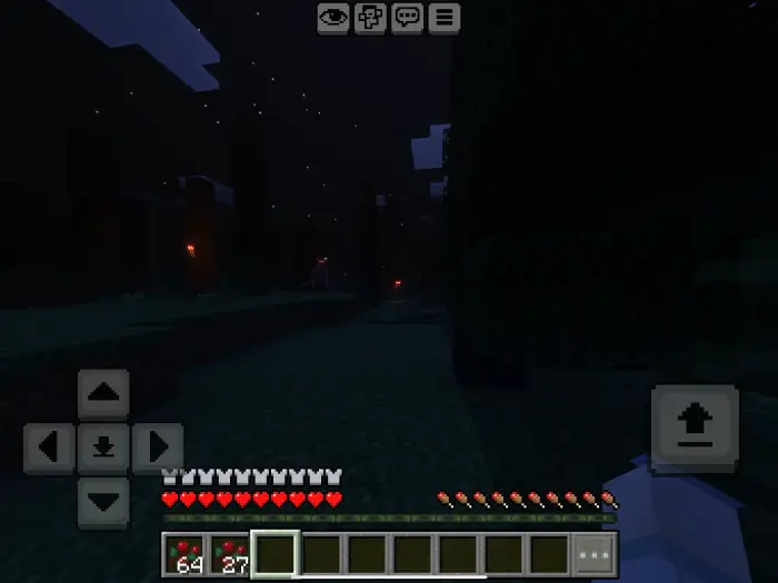 Dark forest with glowing eyes at night