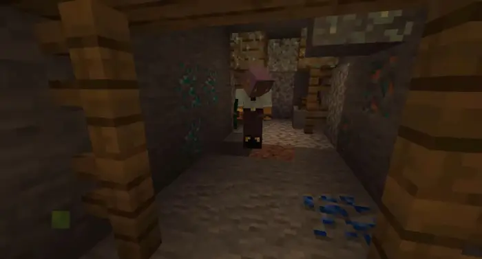 Villager in mineshaft with visible ores