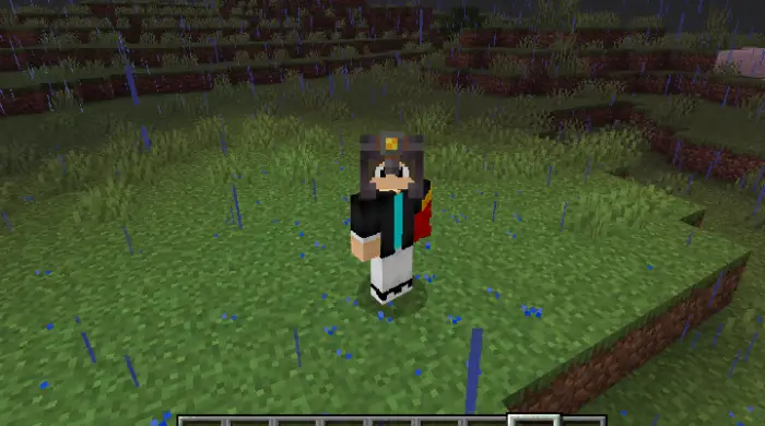 Player stands on grassy terrain in the rain.