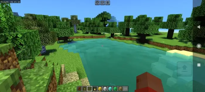 Lush forest and realistic water reflections